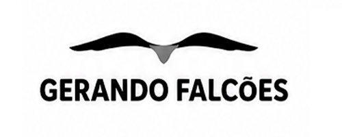 Gerando Falcões